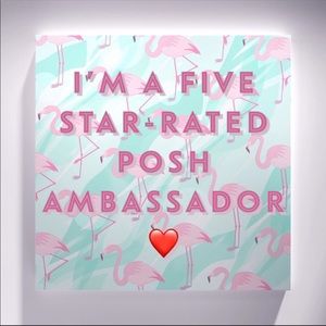 ⭐️⭐️⭐️⭐️⭐️